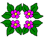 4-flower pic