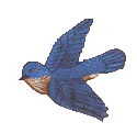 bluebird.gif