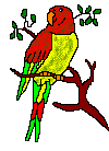 parrot4.gif
